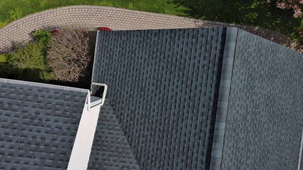 Best Skylight Installation and Repair  in Youngsville, NC