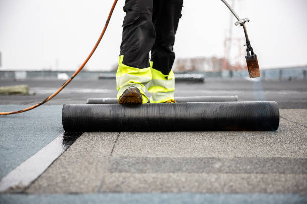 Best Sheet Metal Roofing  in Youngsville, NC