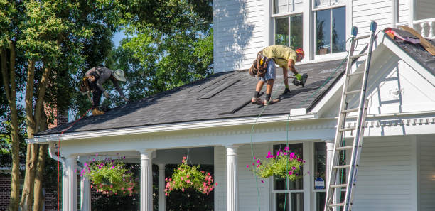 Best Roof Moss and Algae Removal  in Youngsville, NC